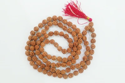 6 Face Rudraksh Mala - Image 2