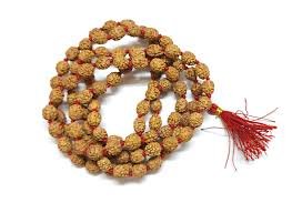 8 Face Rudraksh Mala - Image 2