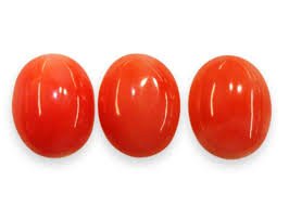 Coral Gemstone - Image 3